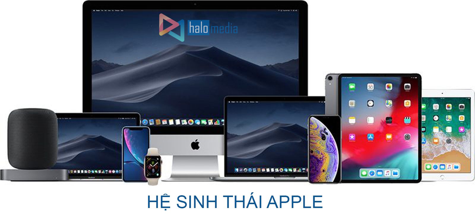 Hieu ung hao quang halo effect trong marketing halo media
