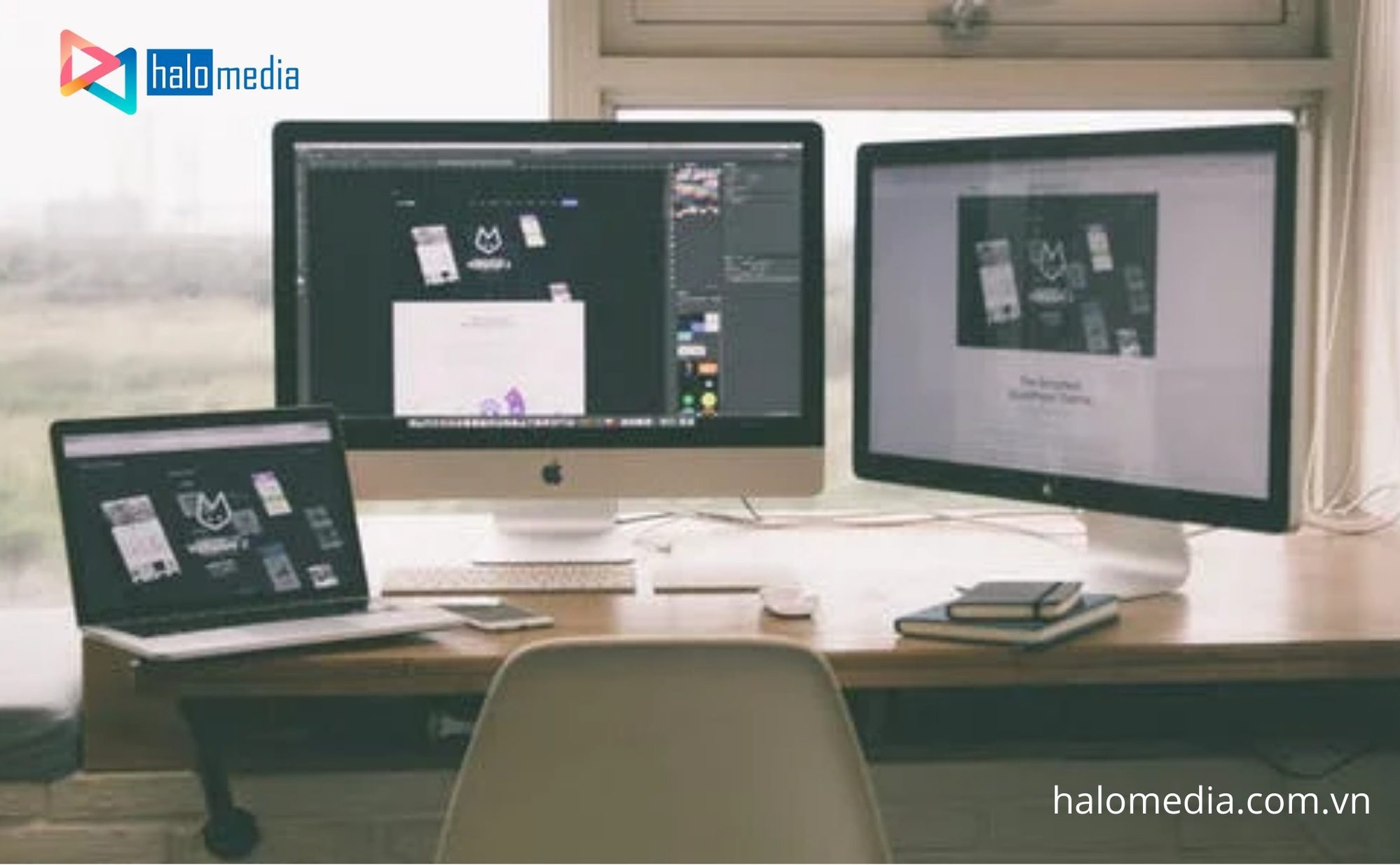 thiết kế website Halo Media