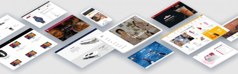 image dich vu thiet ke webite ban hang halomedia thiết kế web Halo Media