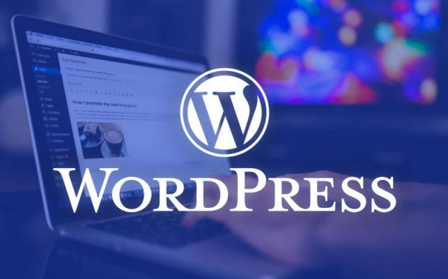 Cach cai theme cho wordpress thiết kế web Halo Media