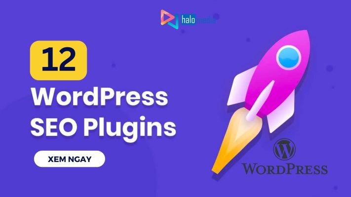 Plugin SEO Wordpress