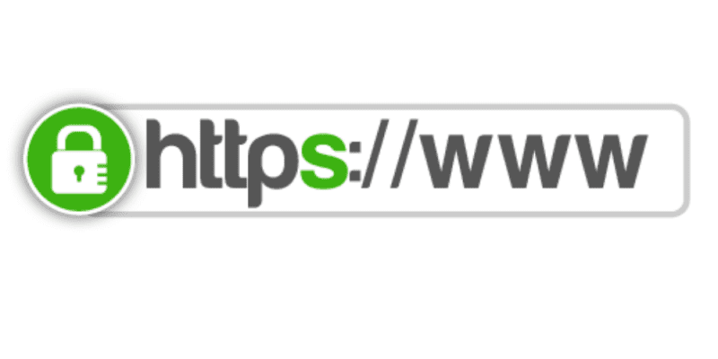 essential thiết kế web Halo Media