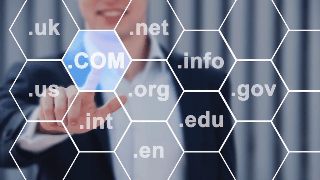 ten mien halo media thiết kế web Halo Media
