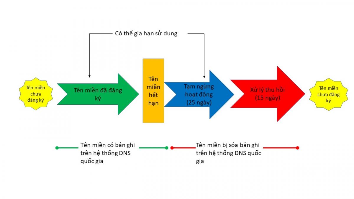 vongdoitenmientheo thiết kế web Halo Media