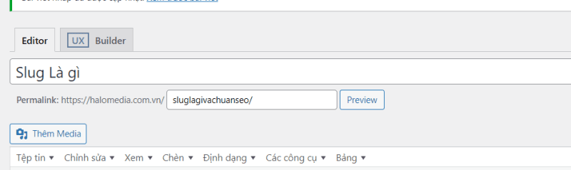 Screenshot 2024 01 25 120217 thiết kế web Halo Media