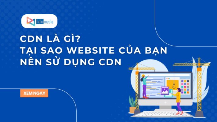 cdn la gi halomedia thiết kế web Halo Media