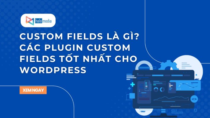 custom fields la gi halomedia thiết kế web Halo Media