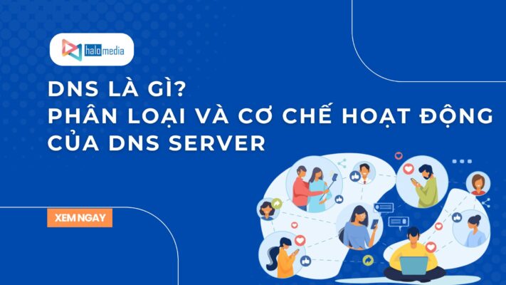 dns la gi phan loai va co che thiết kế web Halo Media
