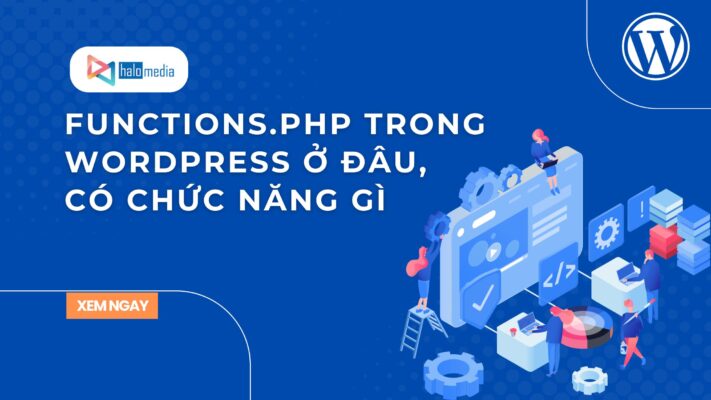 functions php trong wordpress o dau halomedia thiết kế web Halo Media
