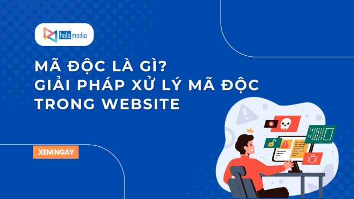 ma doc la gi halomedia thiết kế web Halo Media