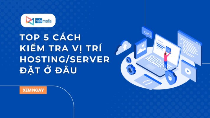 top cach kiem tra vi tri hosting thiết kế web Halo Media