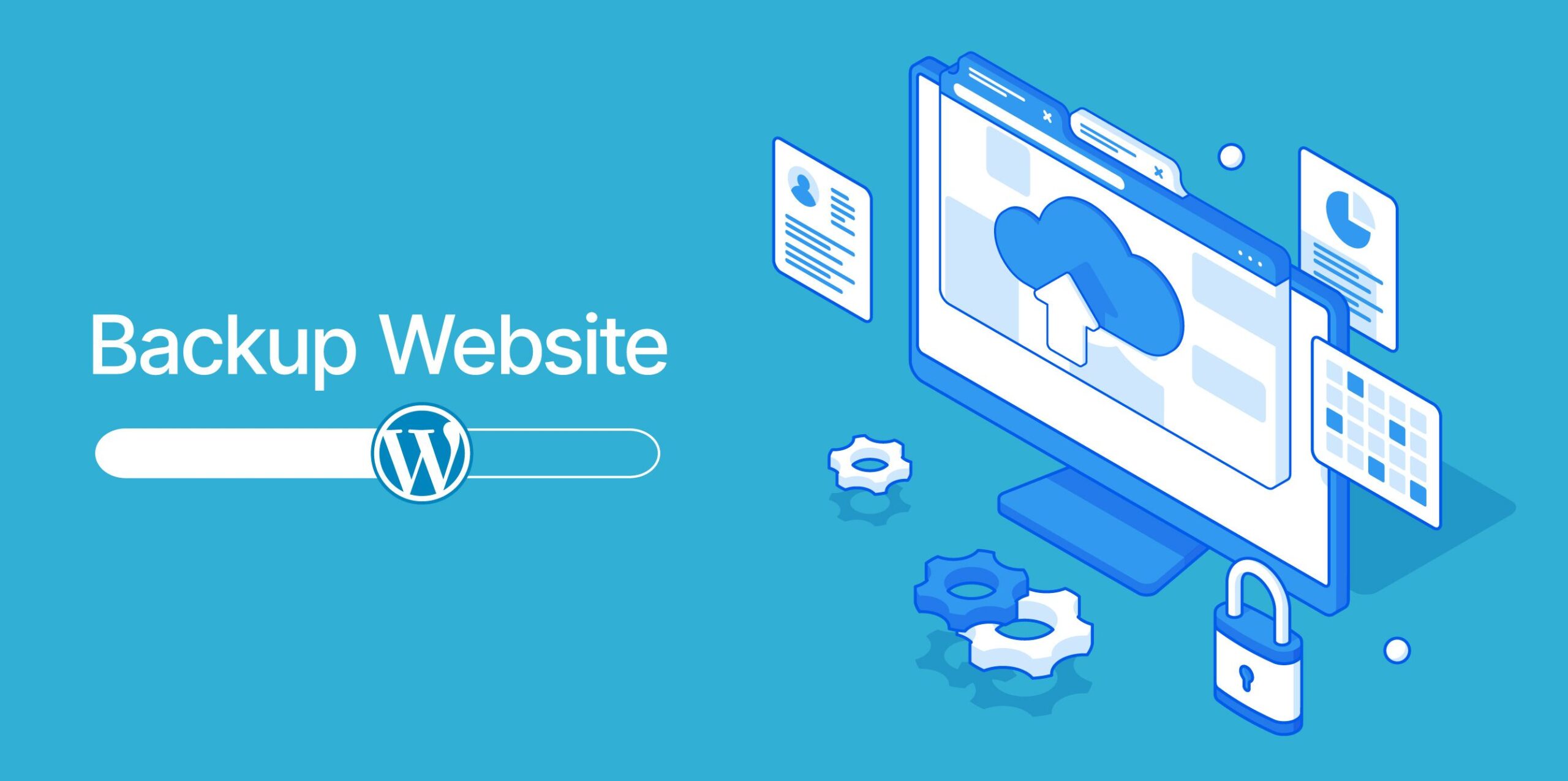 Backup du lieu website la gi thiết kế web Halo Media