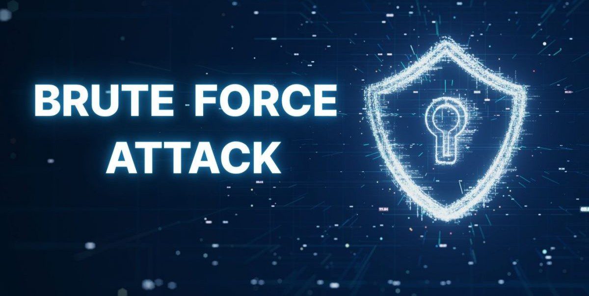 brute force la gi halomedia thiết kế web Halo Media