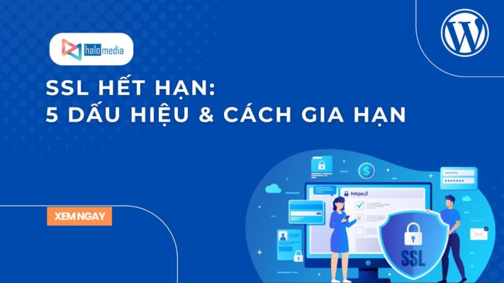ssl het han 5 dau hieu va cach gia han thiết kế web Halo Media