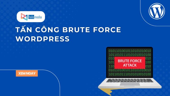 tan cong brute force wordpress halomedia thiết kế web Halo Media