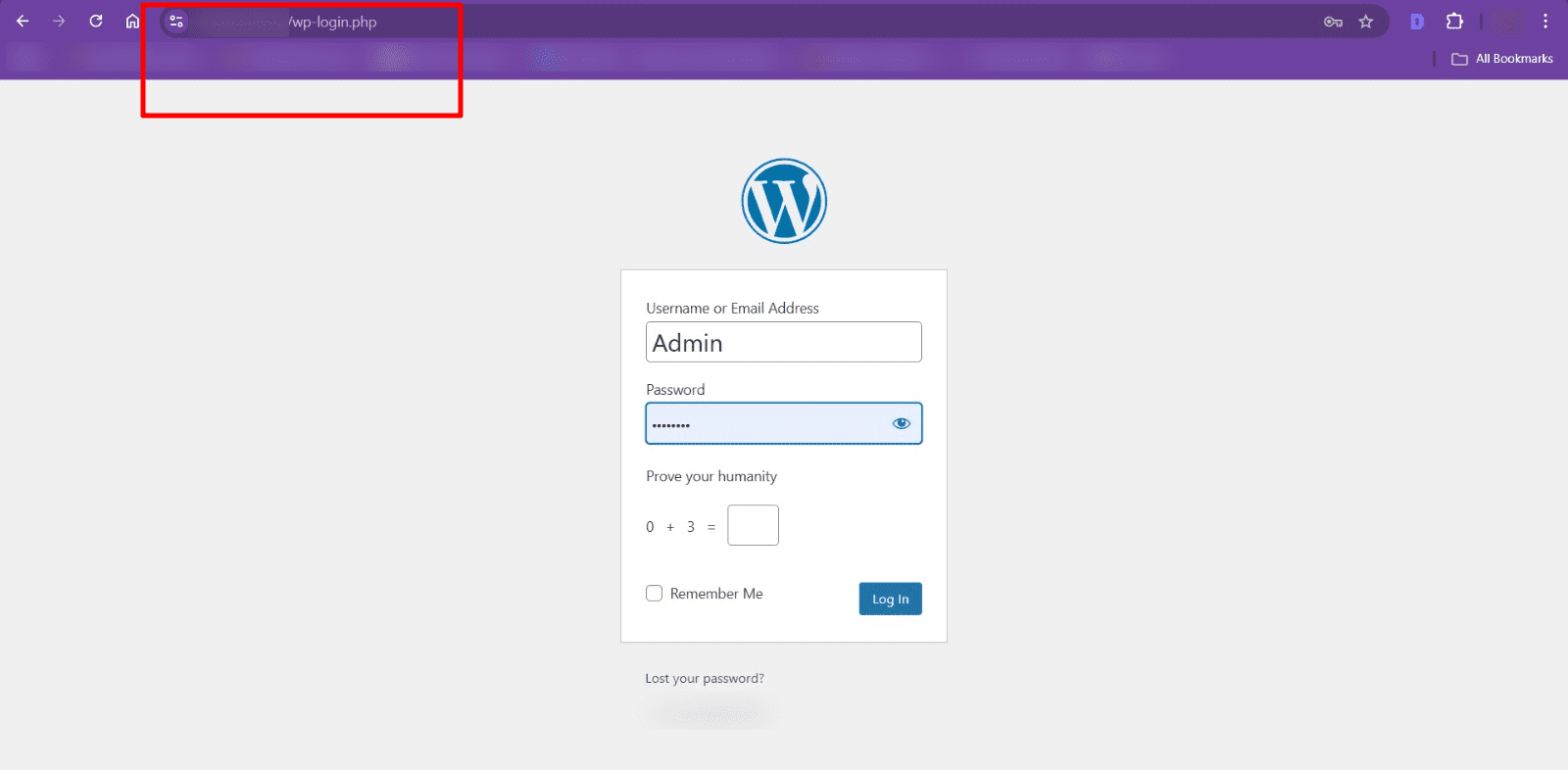 wp login thiết kế web Halo Media