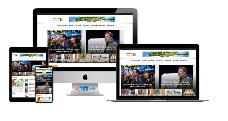 halo media thiet ke website tin tuc