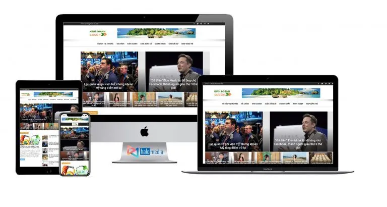 halo media thiet ke website tin tuc