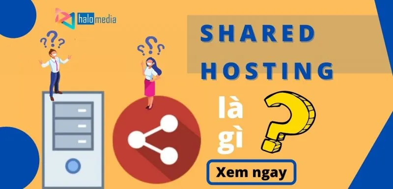 SHARED HOSTING thiết kế web Halo Media
