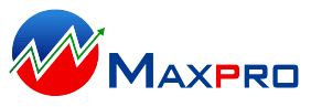 max profit thiết kế web Halo Media