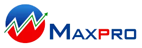 max profit thiết kế web Halo Media