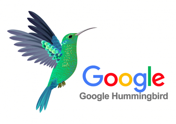 Thuat-toan-Google-HummingBird