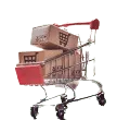 icon-thiet-ke-website-ban-hang-halomedia