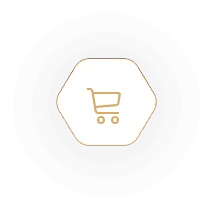 icon1 4 thiết kế web Halo Media