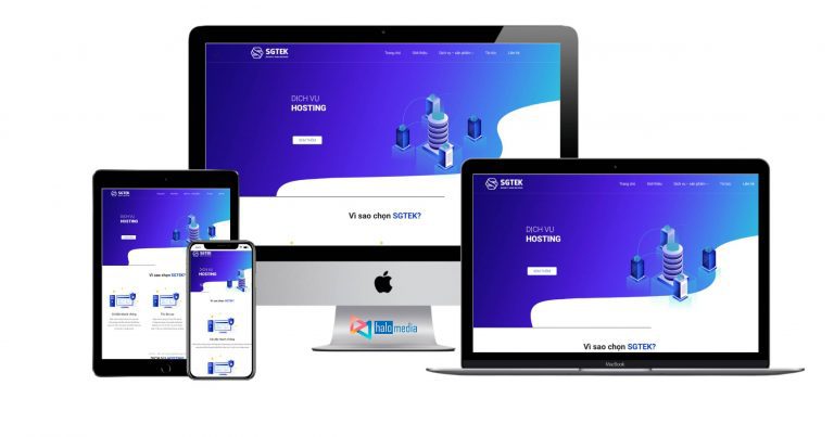 thiet ke web dich vu may chu server vps hosting thiết kế web Halo Media