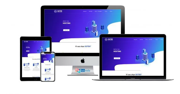 thiet ke web dich vu may chu server vps hosting thiết kế web Halo Media