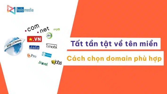 ten mien thiết kế web Halo Media