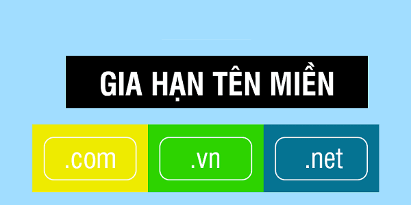 gia han ten mien thiết kế web Halo Media