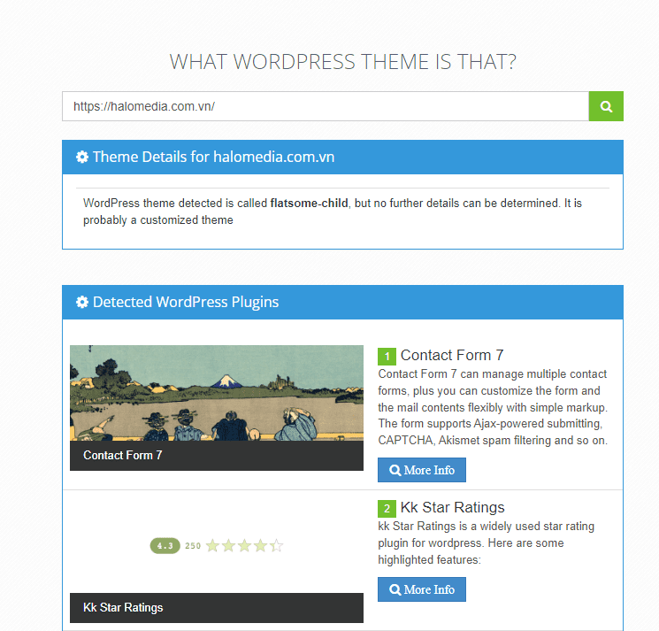 cách kiểm tra website WordPress dùng theme và plugin nào