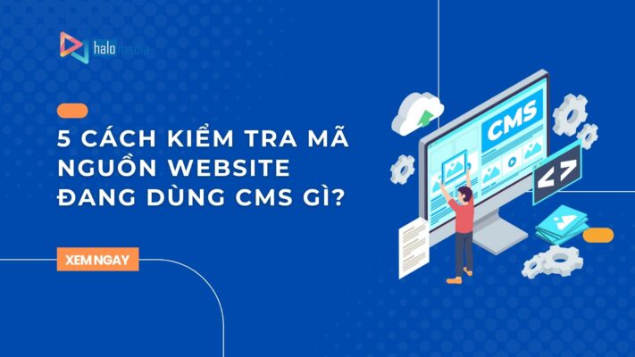 kiem tra ma nguon website thiết kế web Halo Media