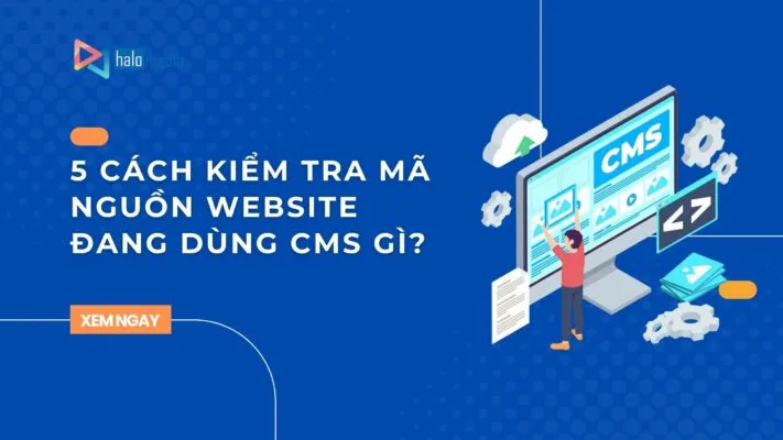 kiem tra ma nguon website thiết kế web Halo Media
