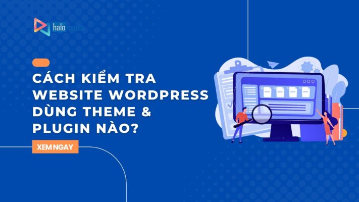kiem tra website wordpress thiết kế web Halo Media