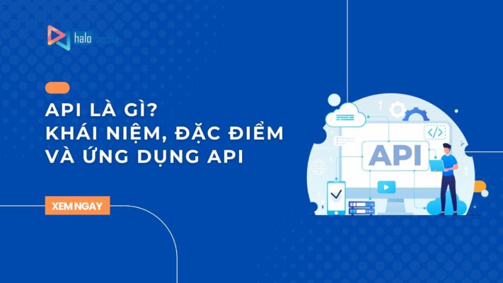 API la gi thiết kế web Halo Media
