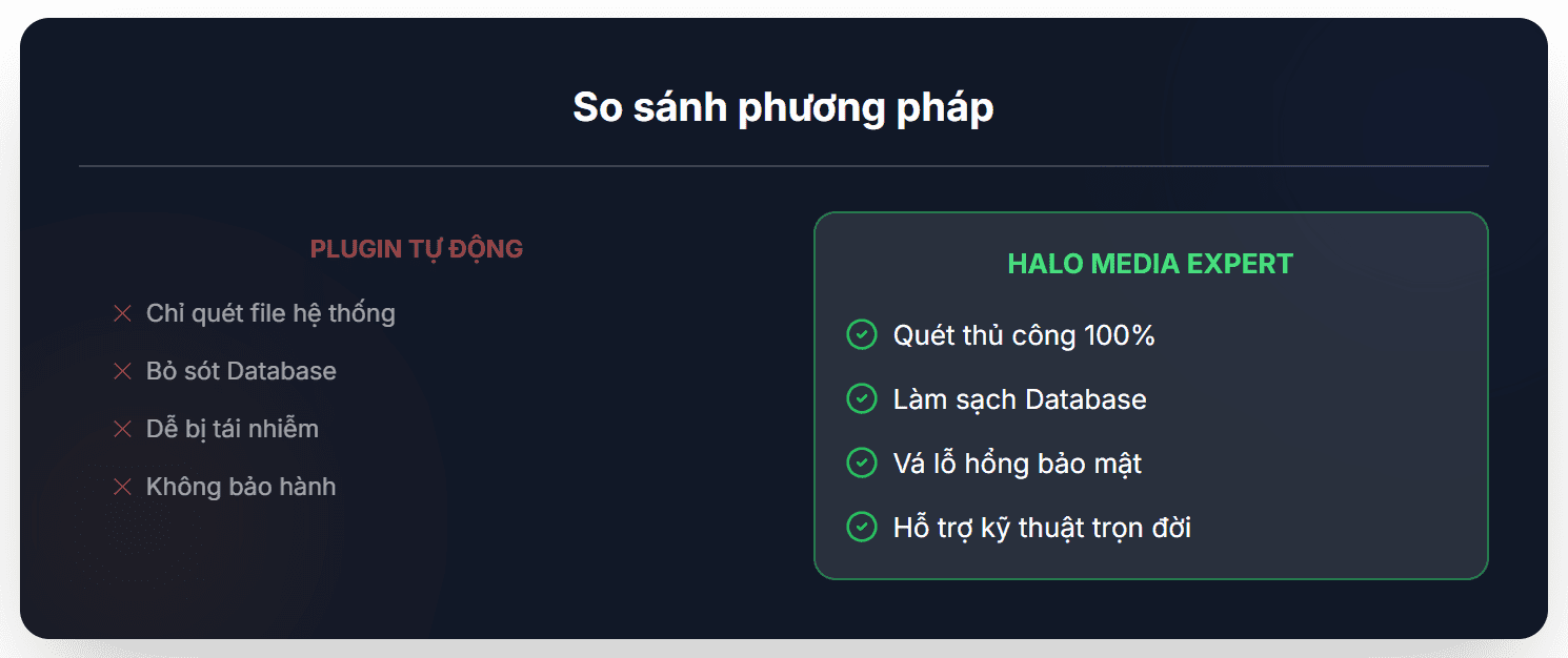 Screenshot 2025 12 04 131015 thiết kế web Halo Media