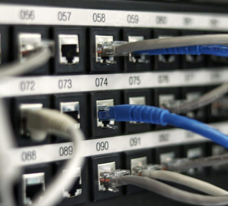 sever hosting halomedia thiết kế web Halo Media