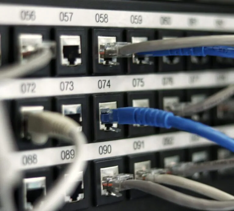 sever hosting halomedia thiết kế web Halo Media