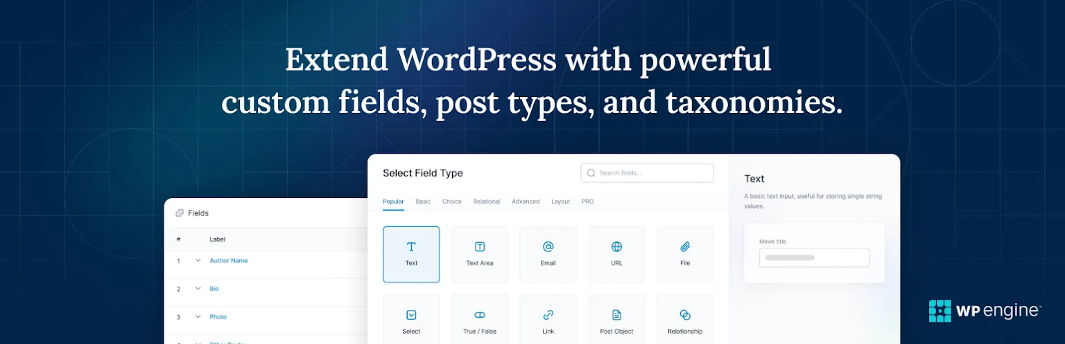 Custom Fields là gì? Các Plugin Custom Fields Tốt Nhất Cho WordPress