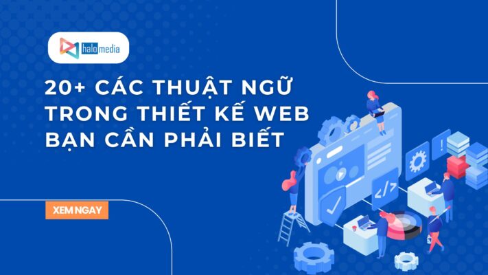 cac thuat ngu trong thiet ke halomedia thiết kế web Halo Media