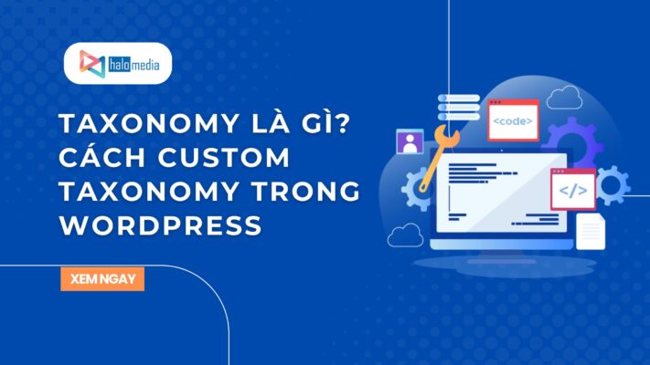 taxobomy la gi halomedia thiết kế web Halo Media