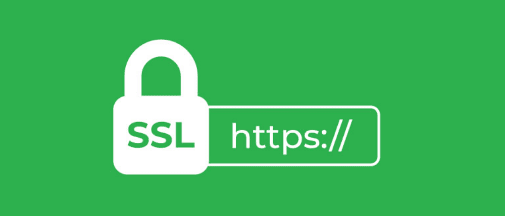 chung chi ssl e1780910730257 thiết kế web Halo Media