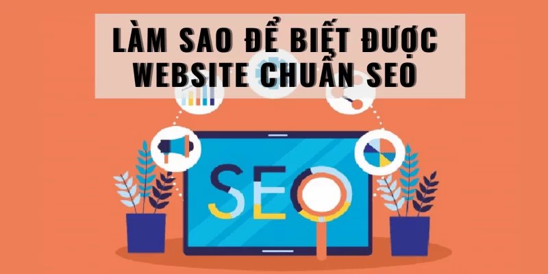 lam sao de biet duoc website chuan seo - halo media
