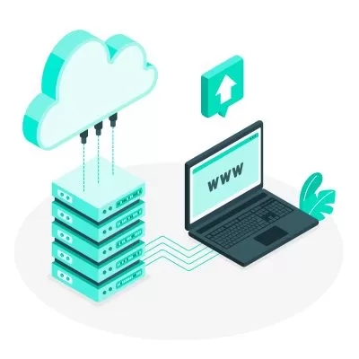 3066886 thiết kế web Halo Media