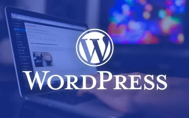 Cach cai theme cho wordpress thiết kế web Halo Media