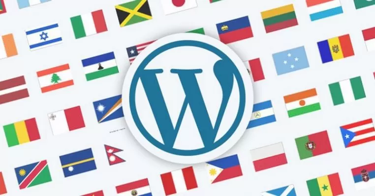 Viet hoa WordPress 7 thiết kế web Halo Media