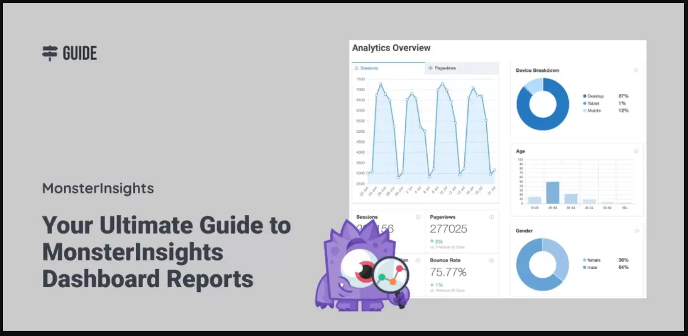 MonsterInsights