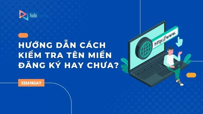 kiem tra ten mien thiết kế web Halo Media
